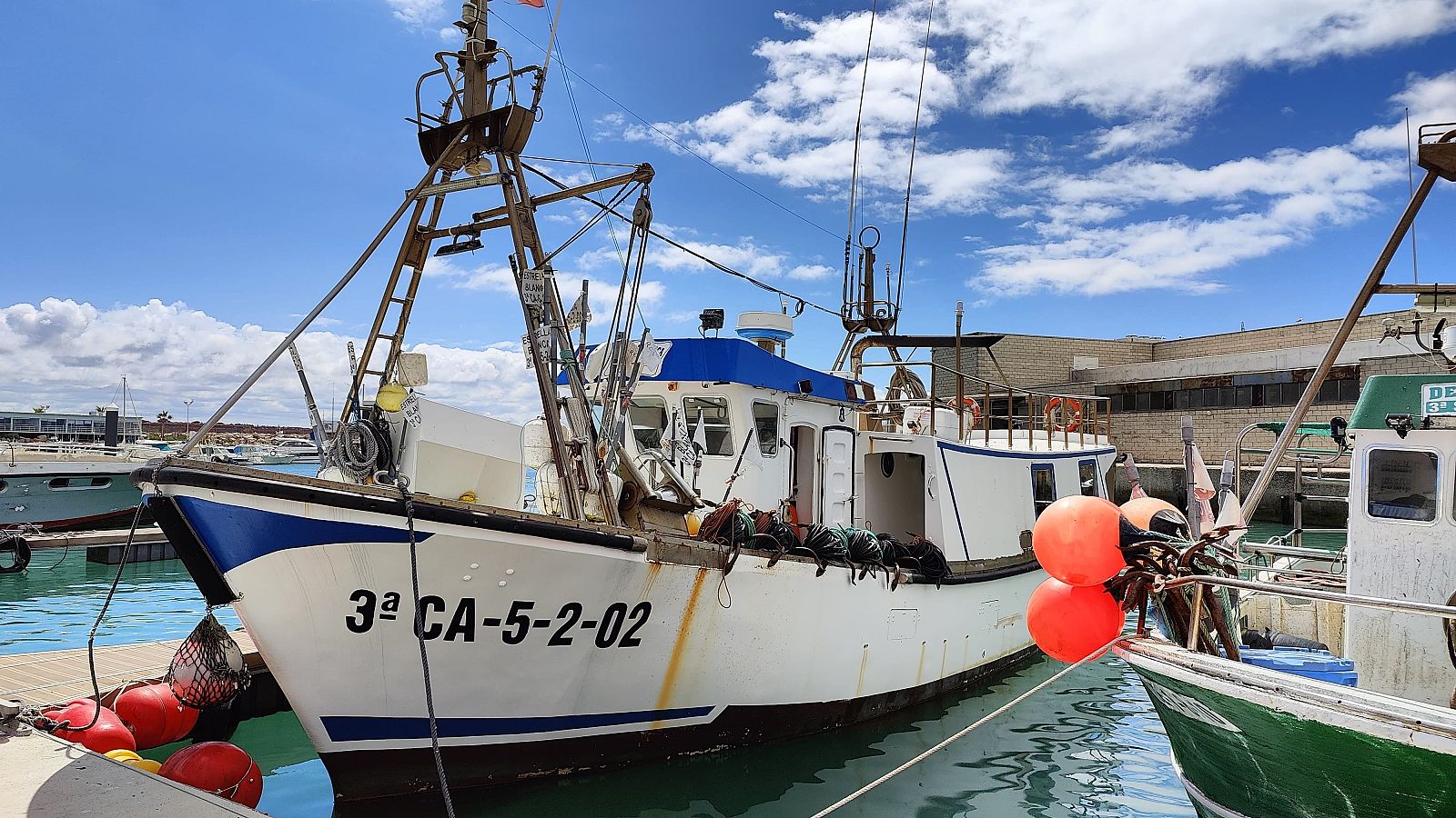 Quejas del sector pesquero del Mediterráneo por la cuota de atún rojo para este año - Noticias Murcia | Ver