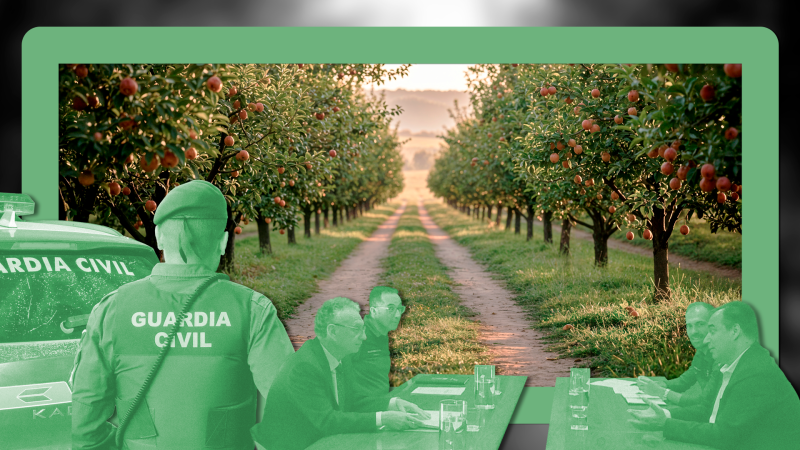 Comienza la vigilancia para evitar robo de fruta - ver ahora