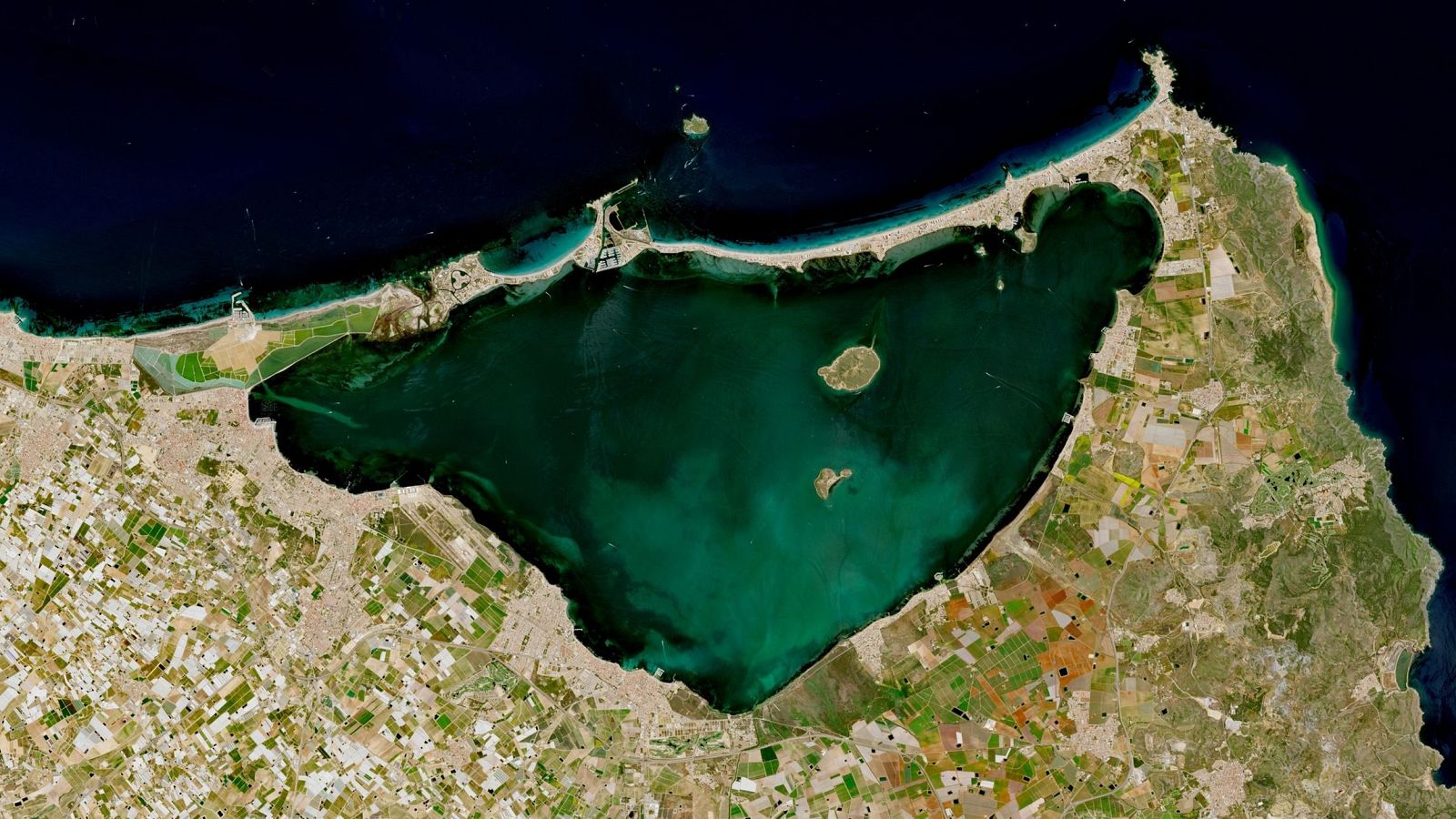 Retirada de Biomasa en el Mar Menor tras las lluvias intensas en la costa murciana - Noticias Murcia | Ver