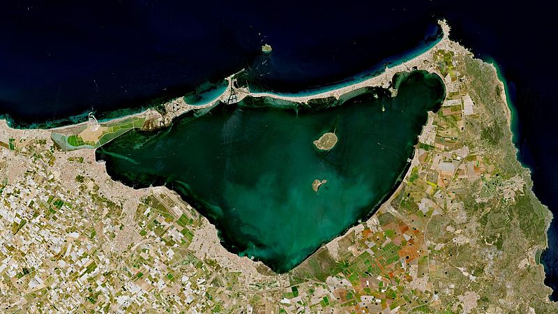 Retirada de Biomasa en el Mar Menor tras las lluvias intensas en la costa murciana - Noticias Murcia | Ver