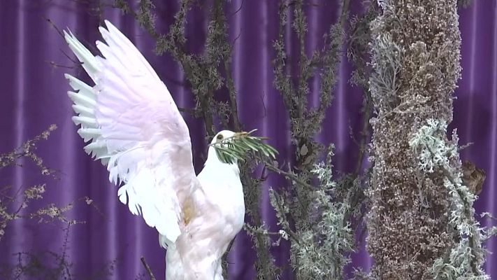 Noticias de Castilla-La Mancha - Piedrabuena celebra sus Cruces y Mayos