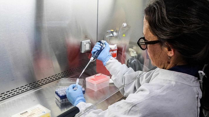 Telediario 1 - Ushuaia, origen del crucero con hantavirus y foco de investigación