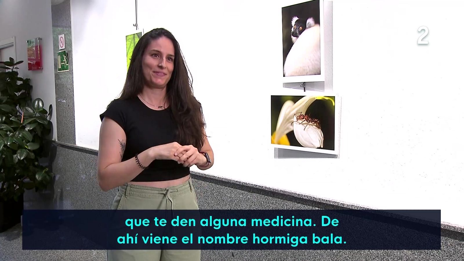 Alicia García Cordero "Explorando el mundo en silencio" con sus fotos de animales - En lengua de signos | Ver