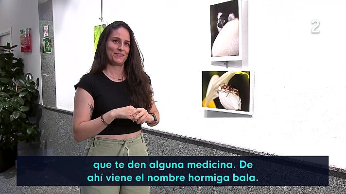 En lengua de signos - Alicia García Cordero "Explorando el mundo en silencio" con sus fotos de animales