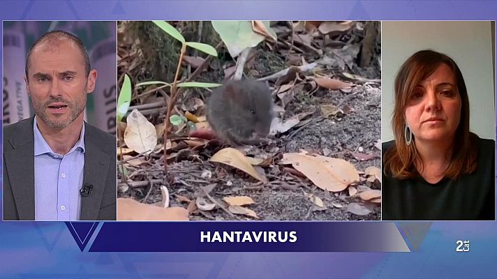 El Vespre - Claus de l’hantavirus i el risc de noves zoonosis