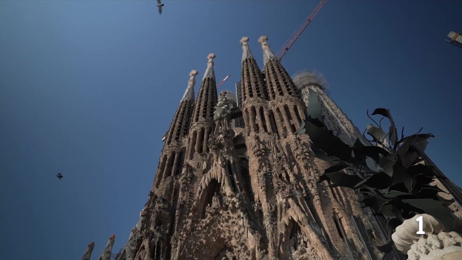 Gran expectació per la visita del papa a Catalunya
