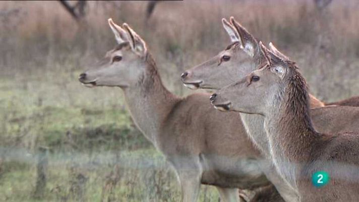 La aventura del Saber - La aventura del saber - 04/03/13