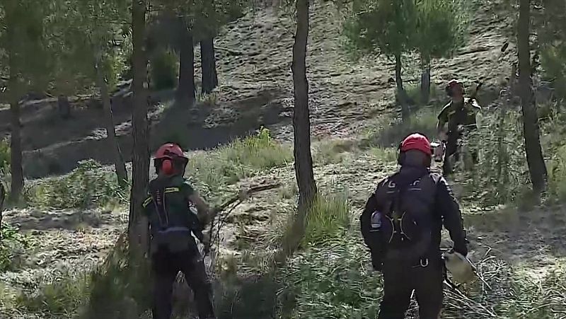 Nou pla de gestió forestal per prevenir grans incendis - L'Informatiu | Veure