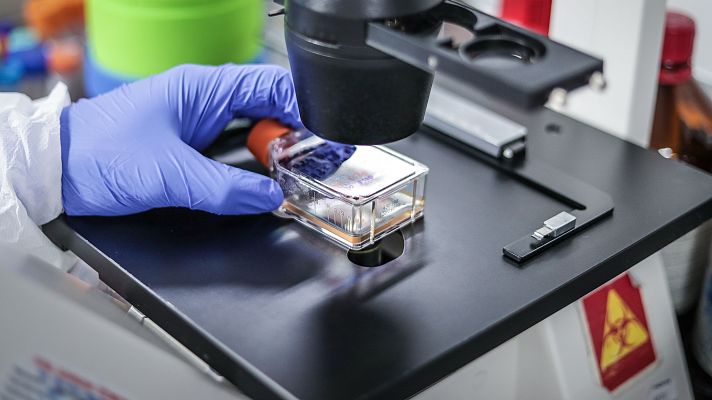 Telediario 1 - Los análisis determinan que el hantavirus no ha sufrido ninguna mutación