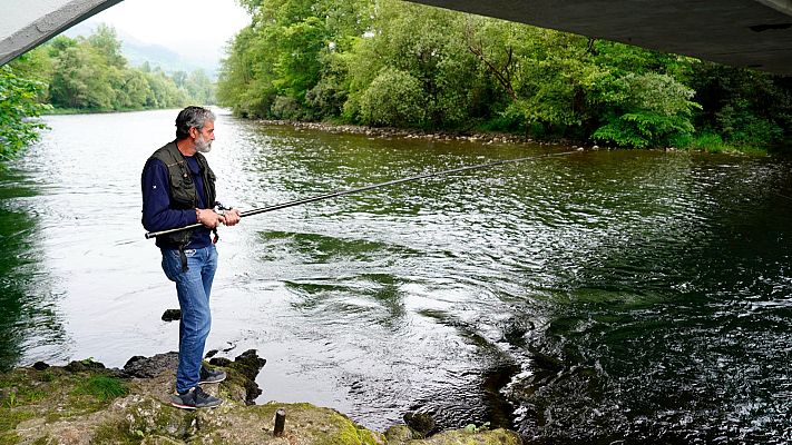  - Asturias suspende por primera vez la subasta del primer salmón capturado en sus ríos