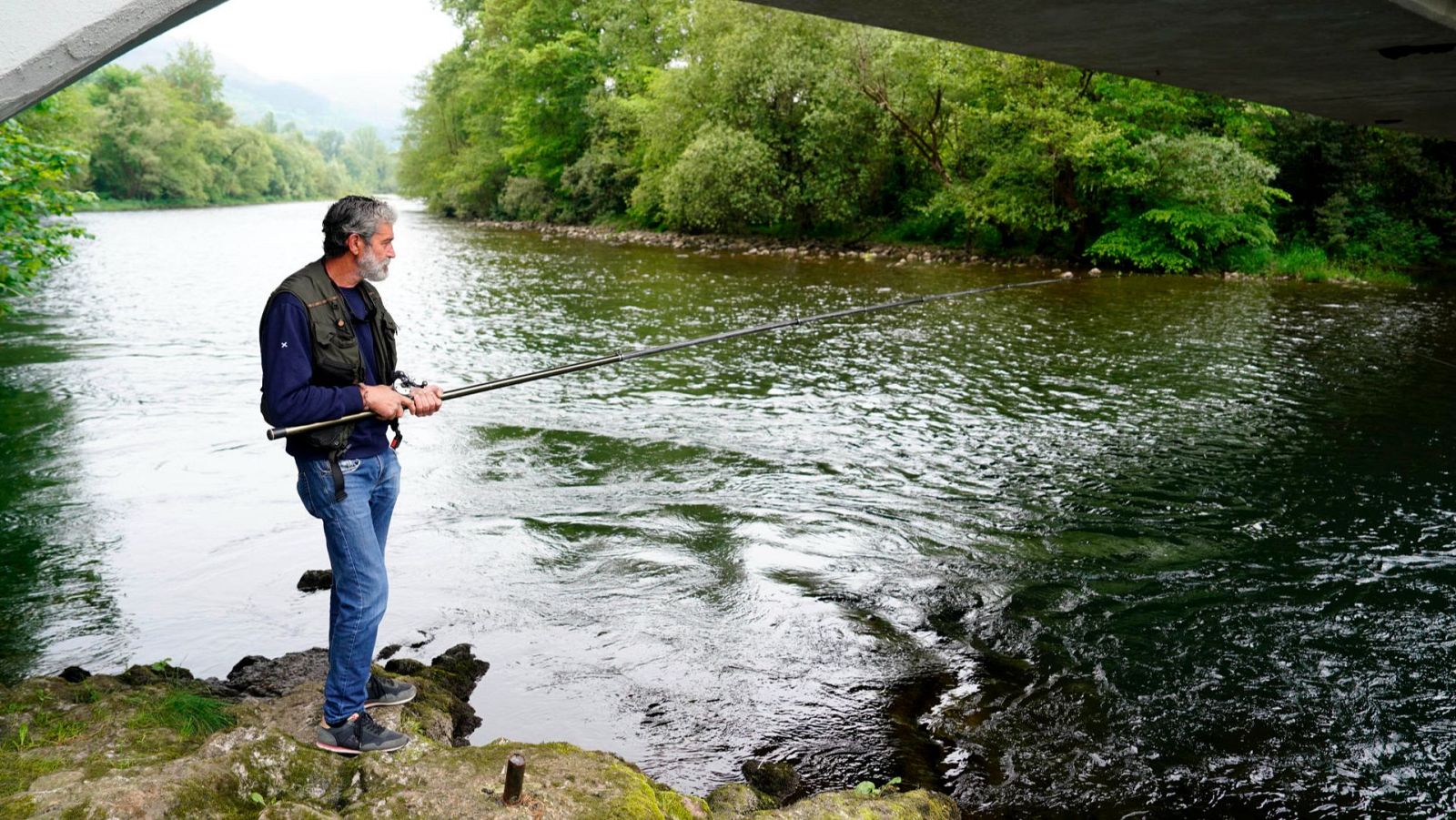 Asturias suspende por primera vez la subasta del primer salmón capturado en sus ríos | Ver