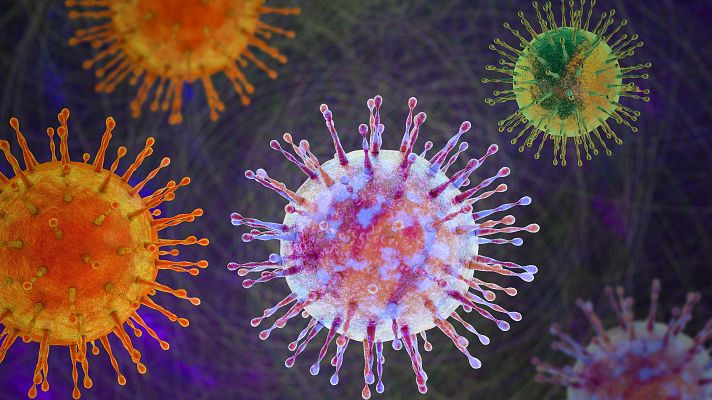 Telediario 2 - ¿Por qué el hantavirus afecta de forma distinta a cada persona?