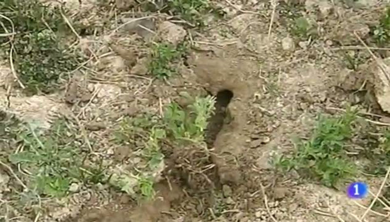 Noticias Aragón - 04/03/13 | Ver