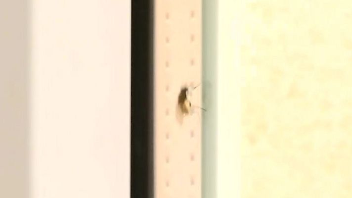 Directo al grano - Encuentran el cadáver de una mujer en su piso 3 semanas después de morir