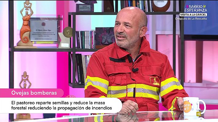 Cerca de ti - Cerca de ti - 13/05/2026