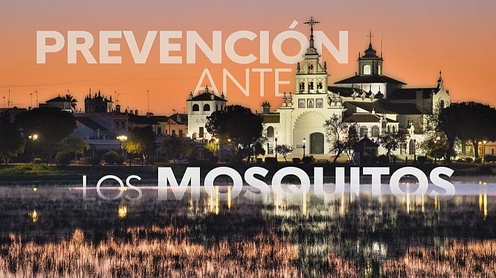 Noticias Andalucía - Plan Romero 2026: medidas de salud