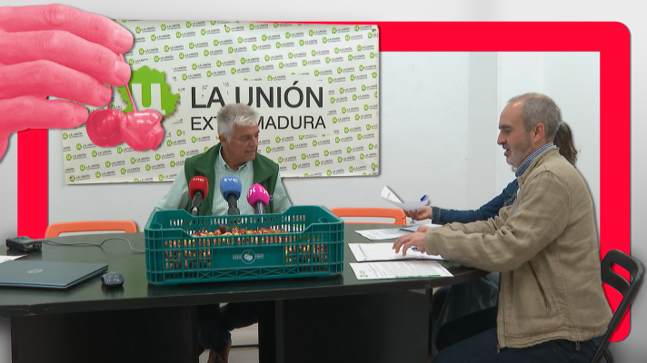 Noticias de Extremadura - La cosecha de cereza dañada por las lluvias