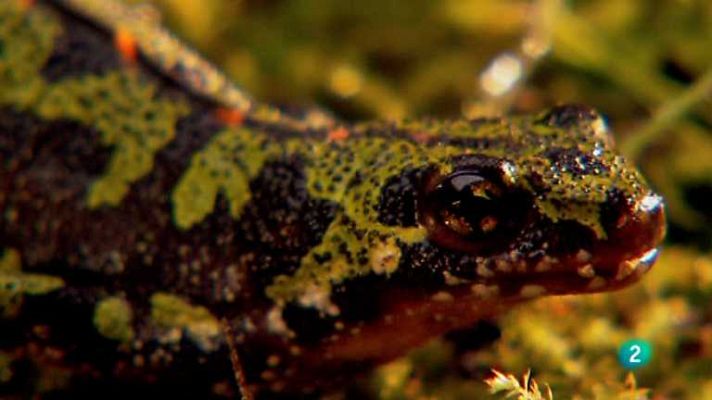 Biodiario - Biodiario - 04/03/13