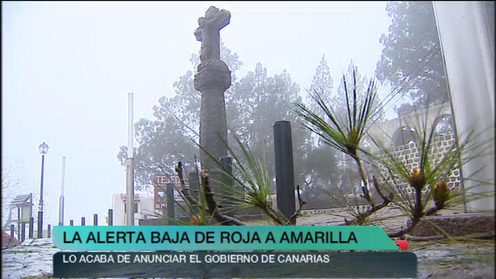 + Canarias - 04/03/13 - +Canarias | Ver