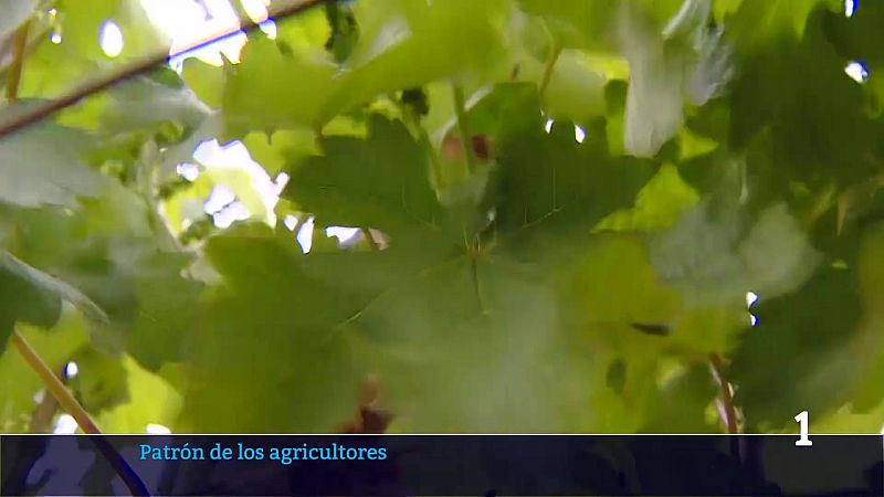 Informativo Telerioja - 15/05/26 | Ver