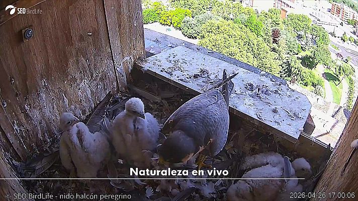 Objetivo Planeta - Naturaleza en vivo