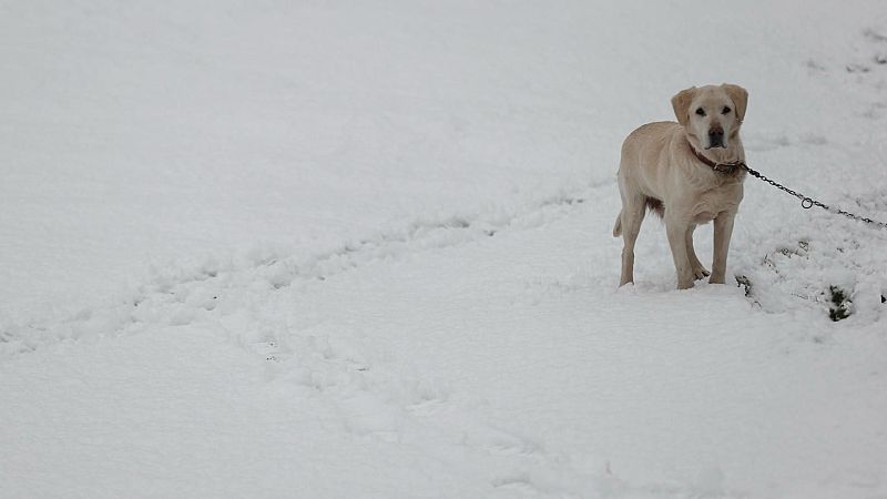 La nieve cubre de blanco el Pirineo navarro en pleno mayo - Telenavarra | Ver