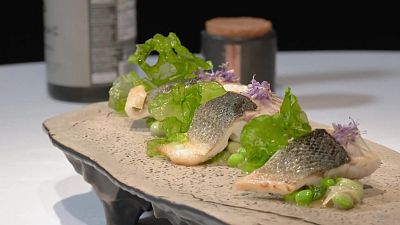 Pesca, bosc i vi