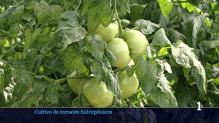 Informativo Telerioja - Informativo Telerioja - 19/05/26