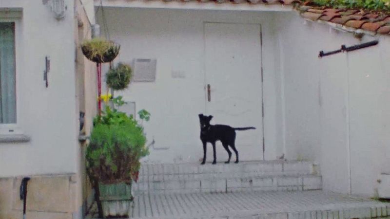 XVII Concurso de Cortos RNE - El Negro - Ver ahora