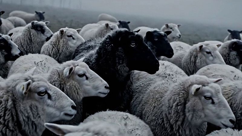 XVII Concurso de Cortos RNE - Sheeps (Ovejas) - Ver ahora