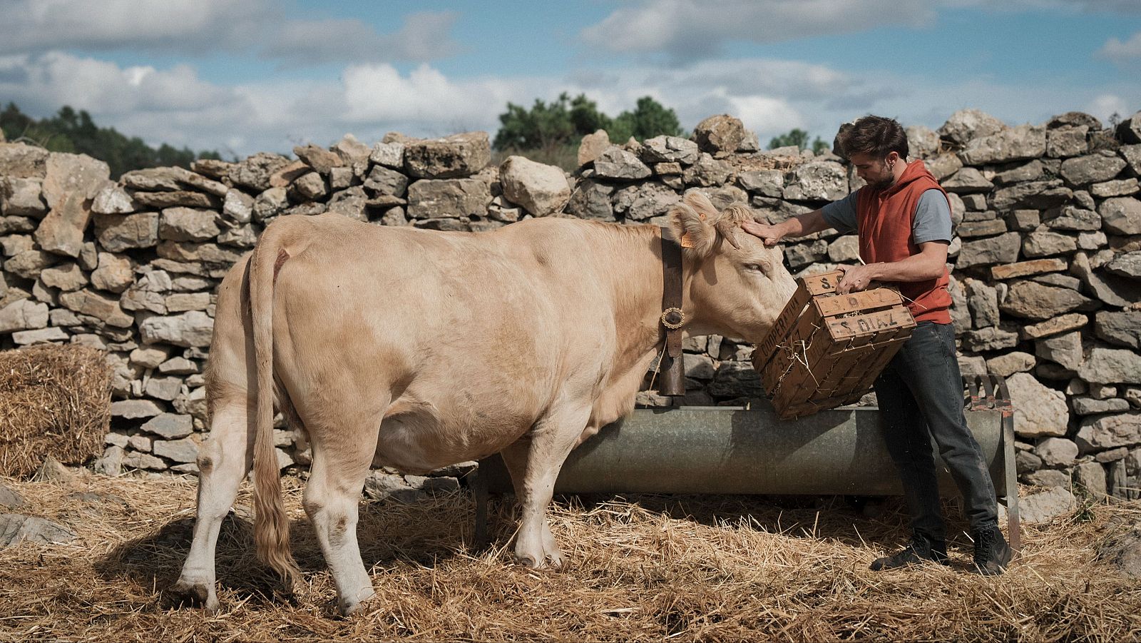 'Cowgirl', clip exclusivo - Somos cine | Ver