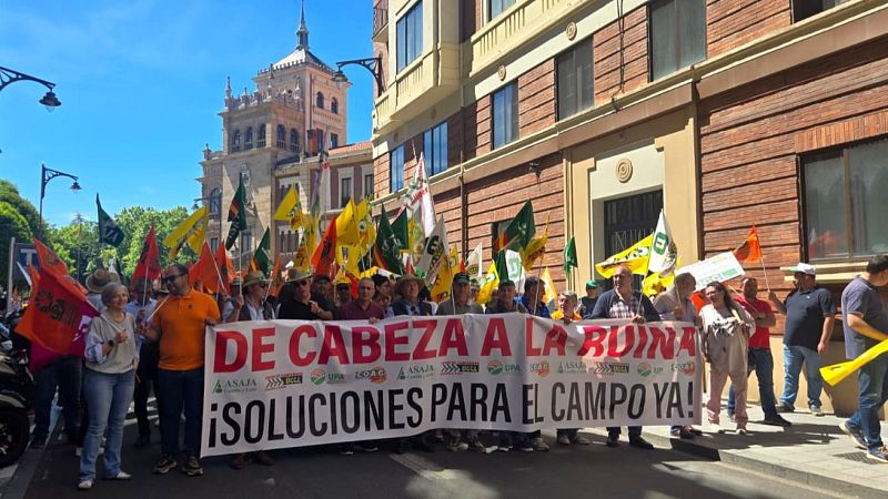 El campo protesta en Valladolid: alerta de abandono masivo - Noticias de Castilla y León | Ver