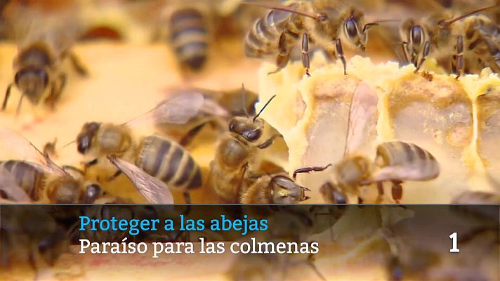 Informativo Telerioja - Telerioja en 2' - 20/05/26