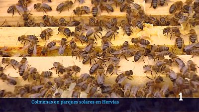 Informativo Telerioja - 20/05/26