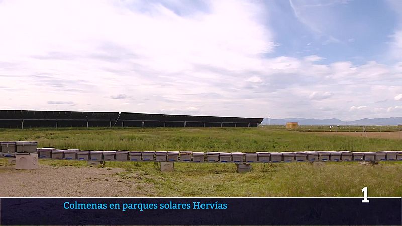 Informativo Telerioja 2 - 20/05/26 | Ver