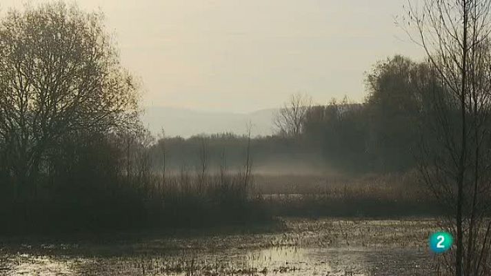 La aventura del Saber - La Aventura del Saber. Salburua