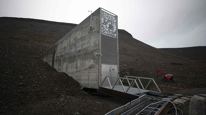 La tarde en 24h - Entrevista a Pilar Requena sobre la Bóveda Global de Semillas
