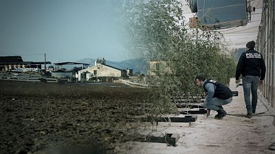 Agromafia en Italia