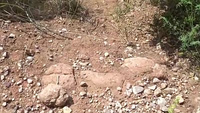 Ricard Fernández lleva 13 años trabajando como guia en el macizo de Monserrat: “El recorrido no es peligroso en absoluto"