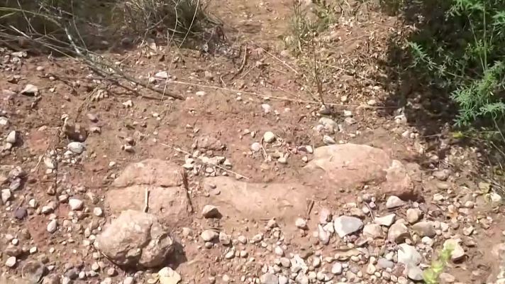 Mañaneros 360 - Ricard Fernández lleva 13 años trabajando como guia en el macizo de Monserrat: “El recorrido no es peligroso en absoluto"
