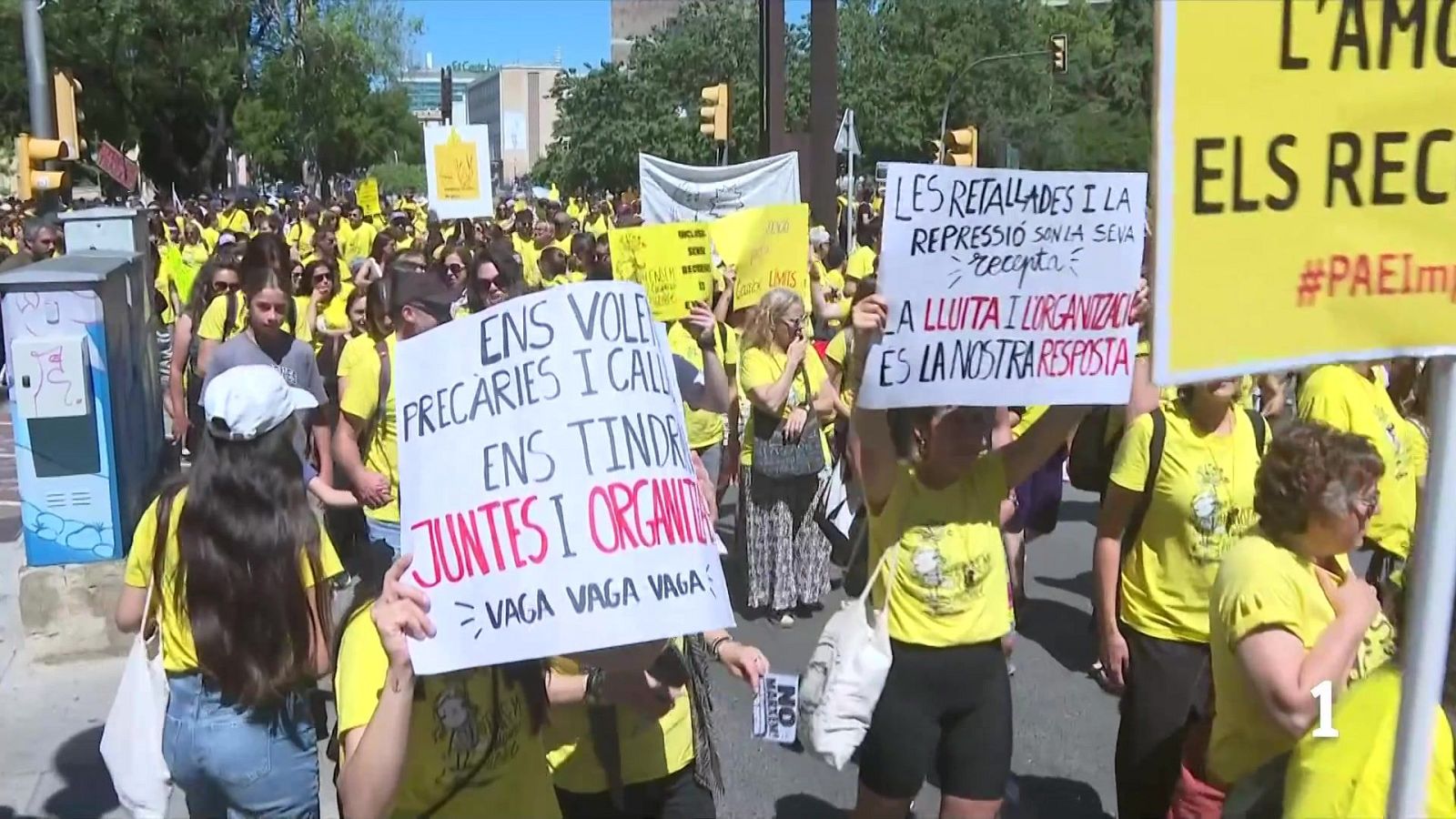 Docents es mobilitzen a Tarragona i Tortosa - L'Informatiu | Veure