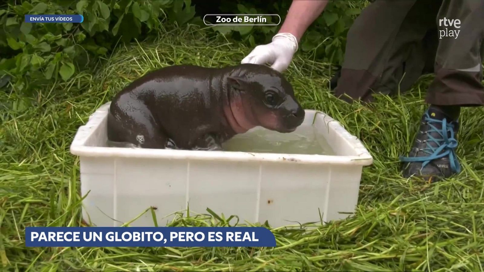 Aquí la Tierra - 21/05/26 - Aquí la Tierra | Ver