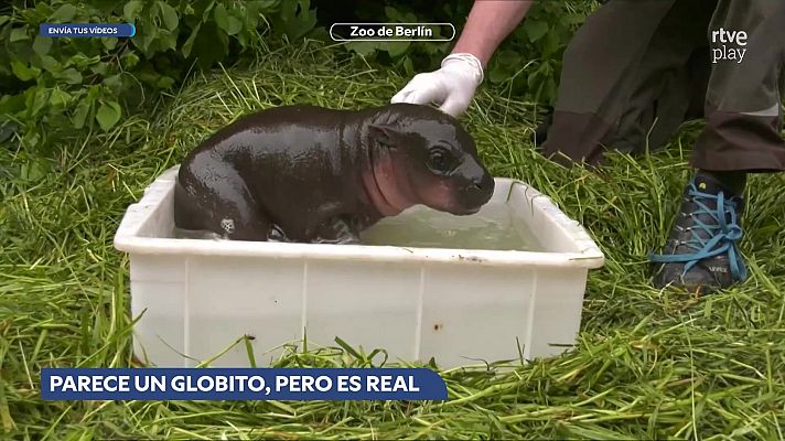Aquí la Tierra - Aquí la Tierra - 21/05/26