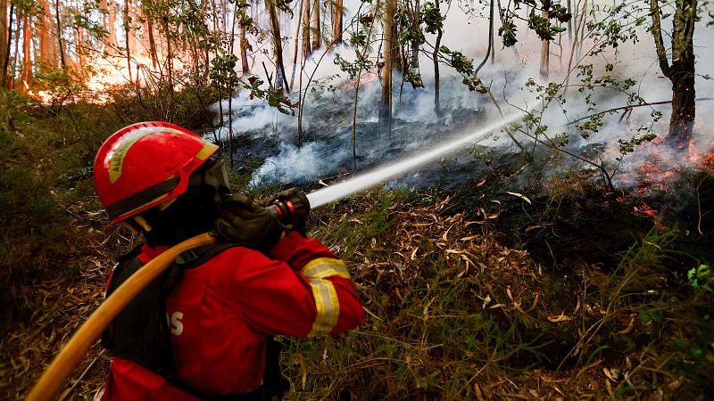 Portugal se prepara para una complicada temporada de incendios | Ver