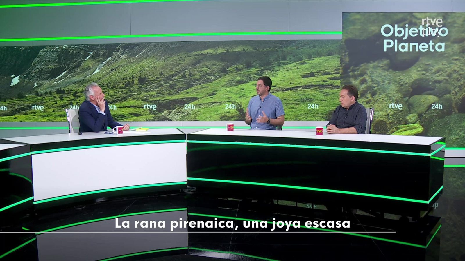 Objetivo Planeta - La rana pirenaica, una joya escasa - Objetivo Planeta | Ver