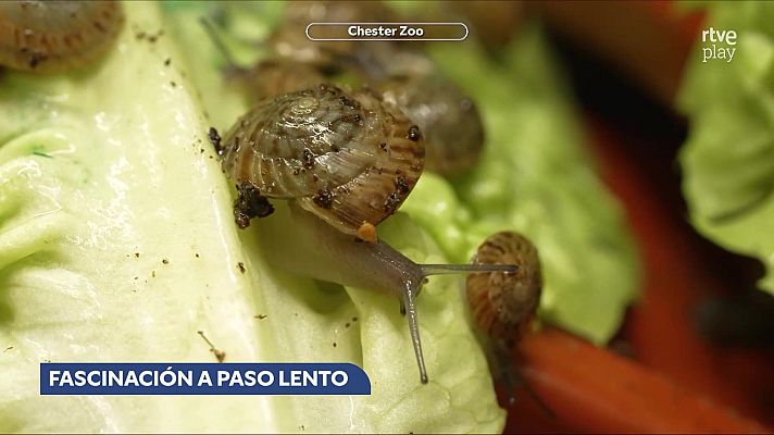 Aquí la Tierra - Aquí la Tierra - 24/05/26