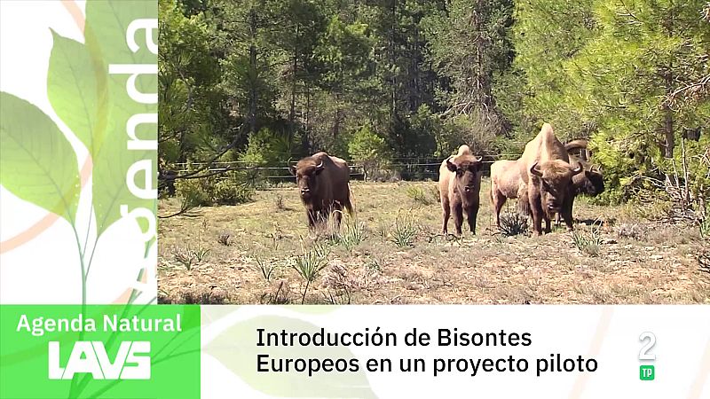 Agenda natural | Ver