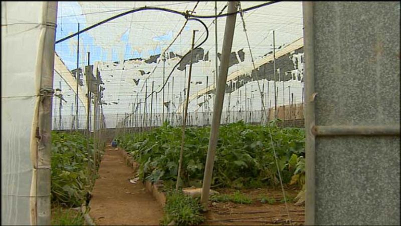 + Canarias - 05/03/13 - +Canarias | Ver