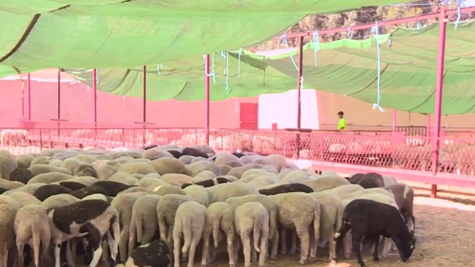 La noticia de Melilla - 25/05/26 | Ver