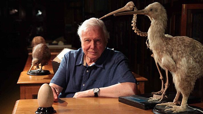 Curiosidades naturales de David Attenborough - Episodio 5: Caparazones increíbles